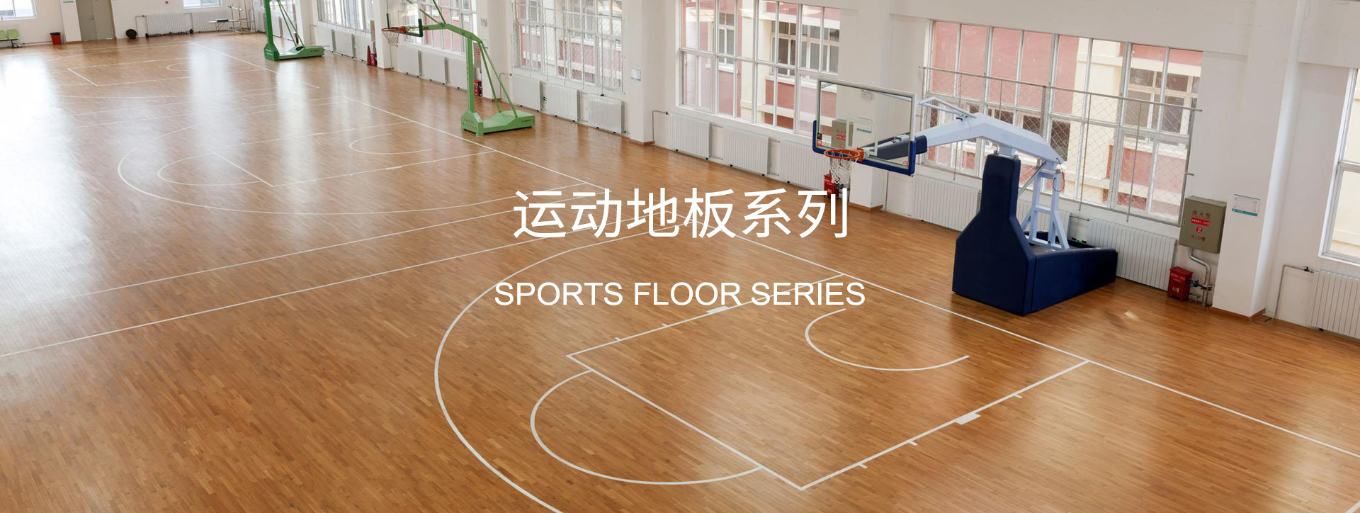 bwin·必赢